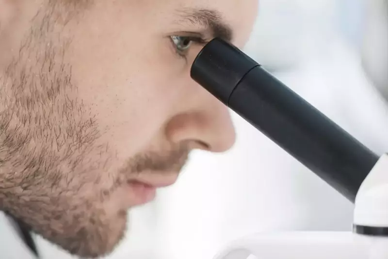 Jaki spektrometr XRF wybrać i na co zwrócić uwagę?